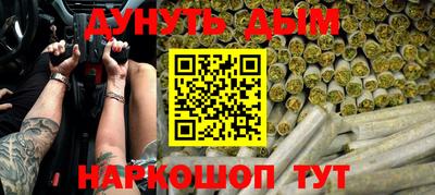 сатива Коммунар