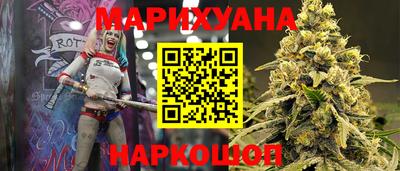сатива Коммунар