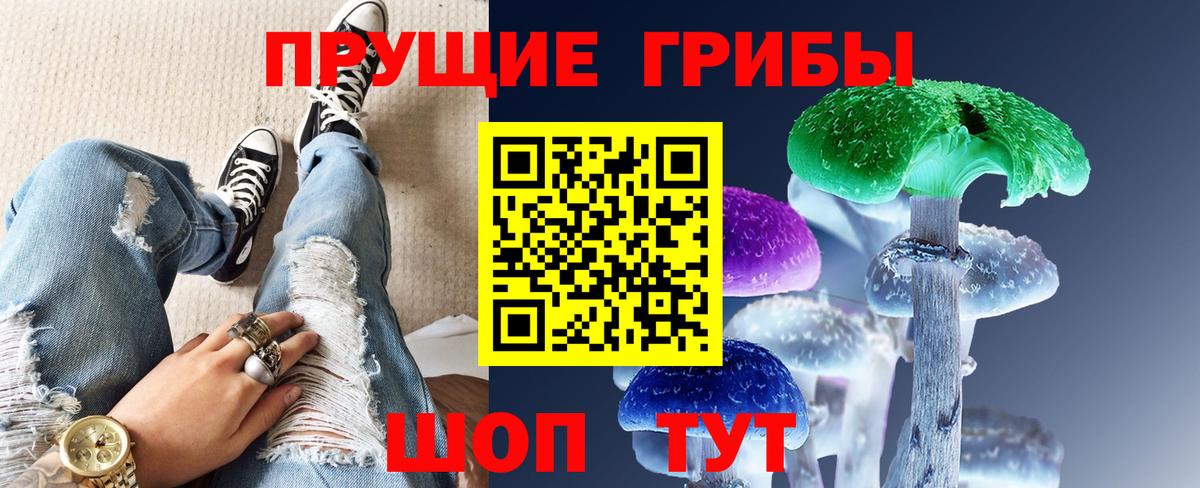 Канаш  закладка  Вход с VPN  Галлюциногенные грибы GOLDEN TEACHER 